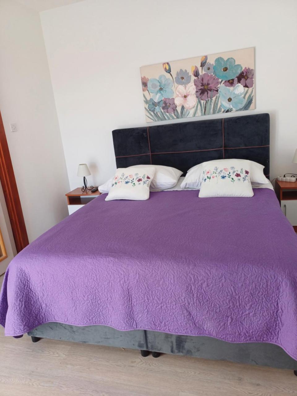 Apartments Jure Miljak - 6