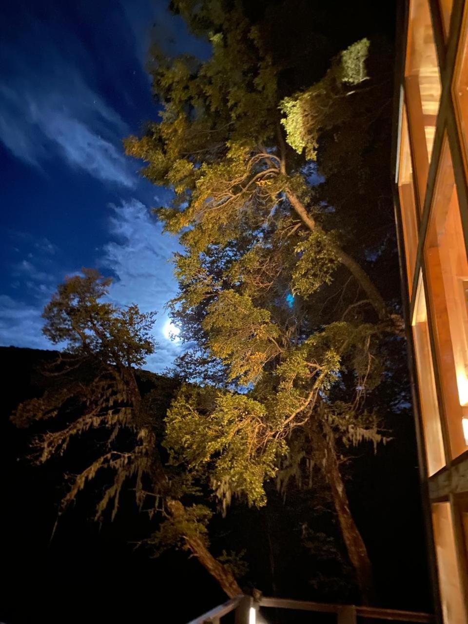 Lodge Rincon del Bosque, Malalcahuello photo 4