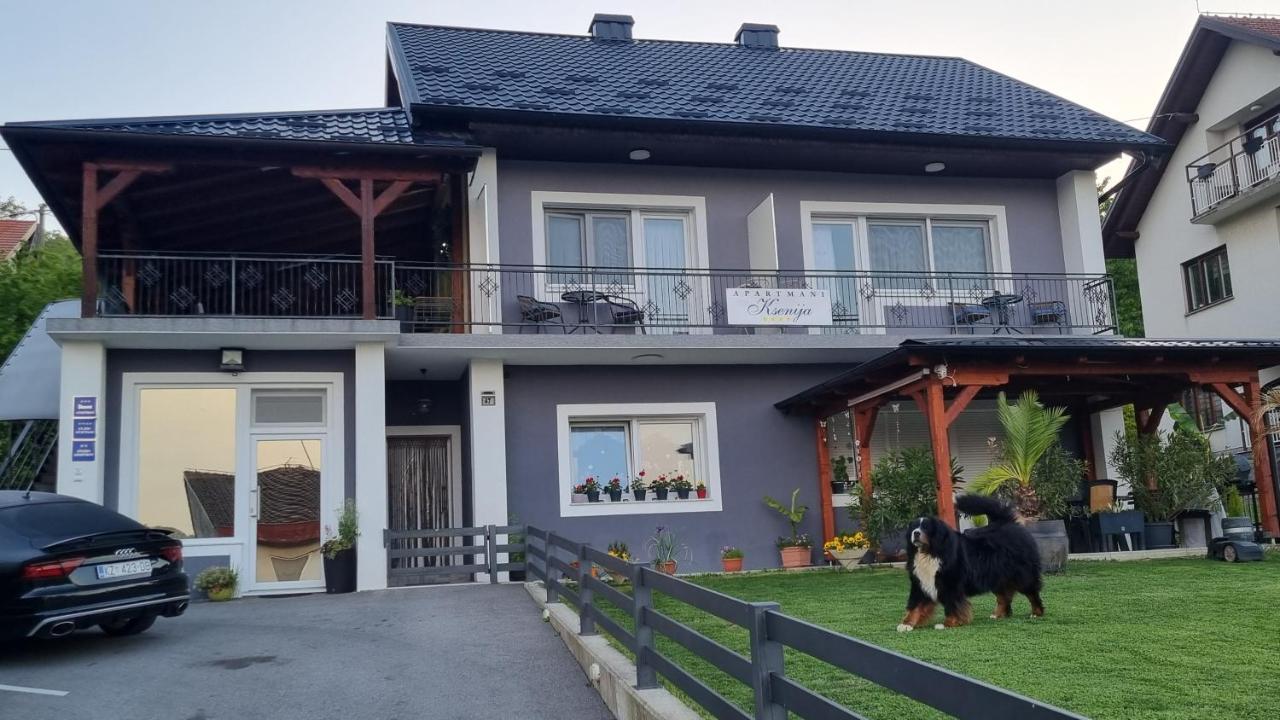 APARTMANI KSENIJA - 2