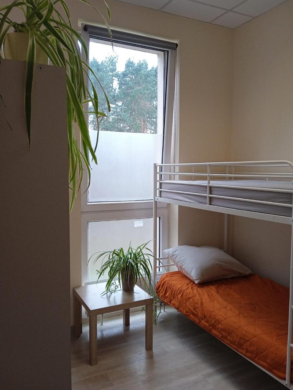 Foto - Lubelski Hostel - blisko Centrum Zdrowia Dziecka & Instytut Kardiologii