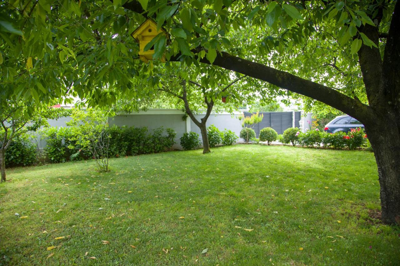 Apartment Garden - 2
