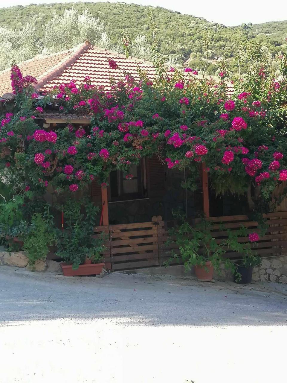 Elena’s House Sivota Lefkadas - 2