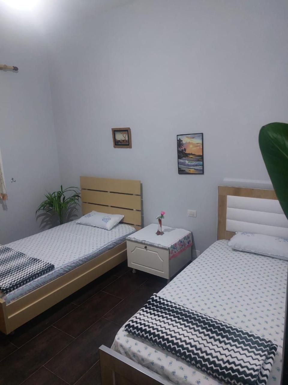 A&A House photo 2