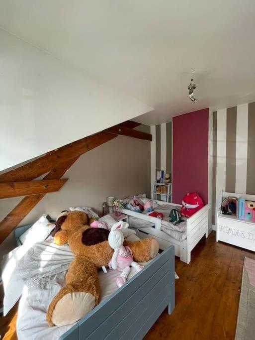 Maison 20 min de PARIS - 3