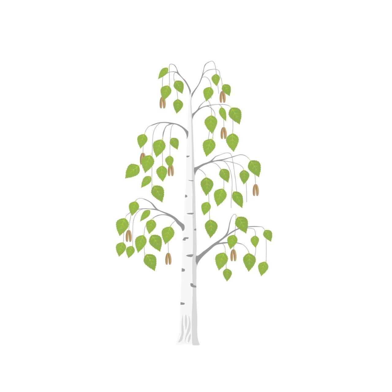 Betula Views Studio - 2
