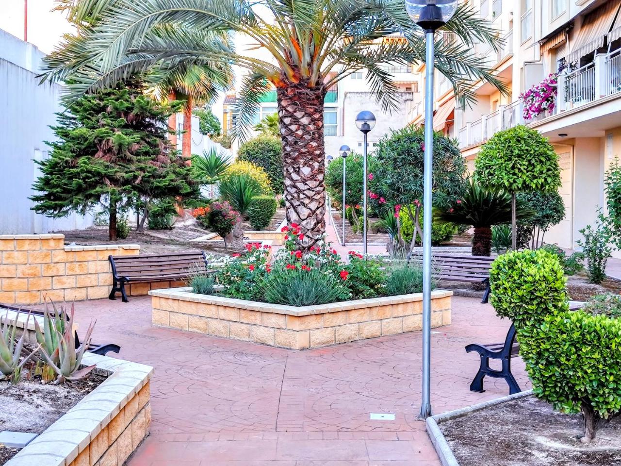 Alojamiento La Palmera - 5