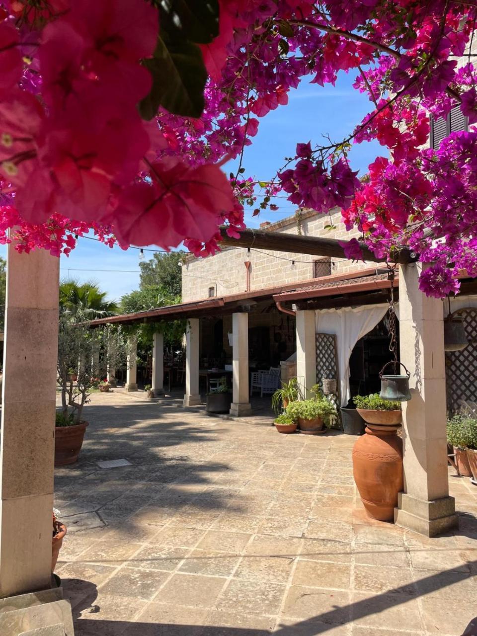 Masseria Scianne photo 4