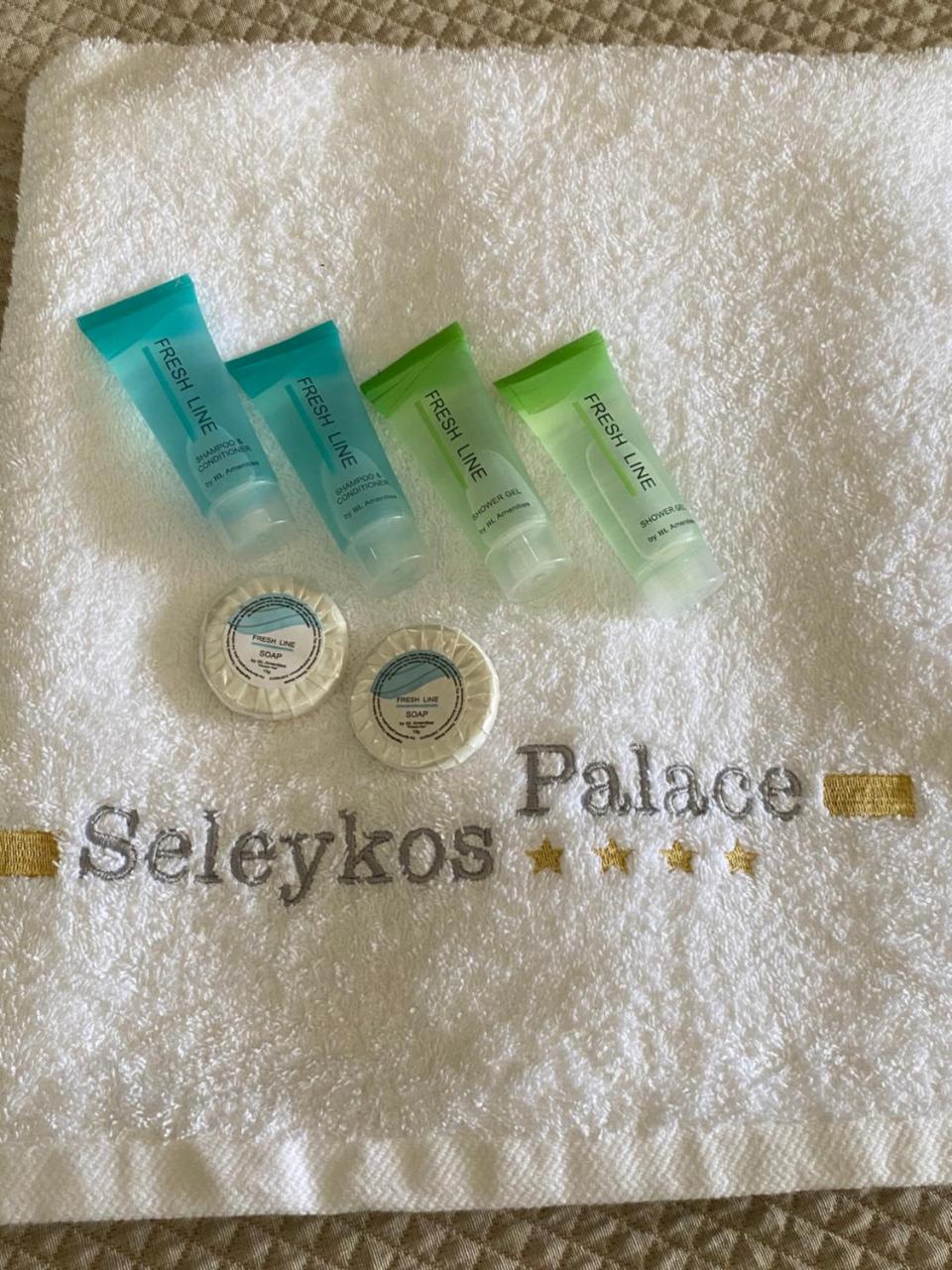 Selefkos Palace photo 4