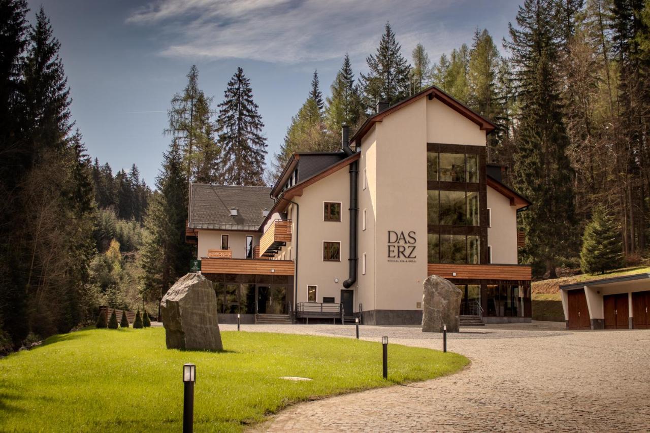 DAS ERZ Medical Spa & Hotel photo 2