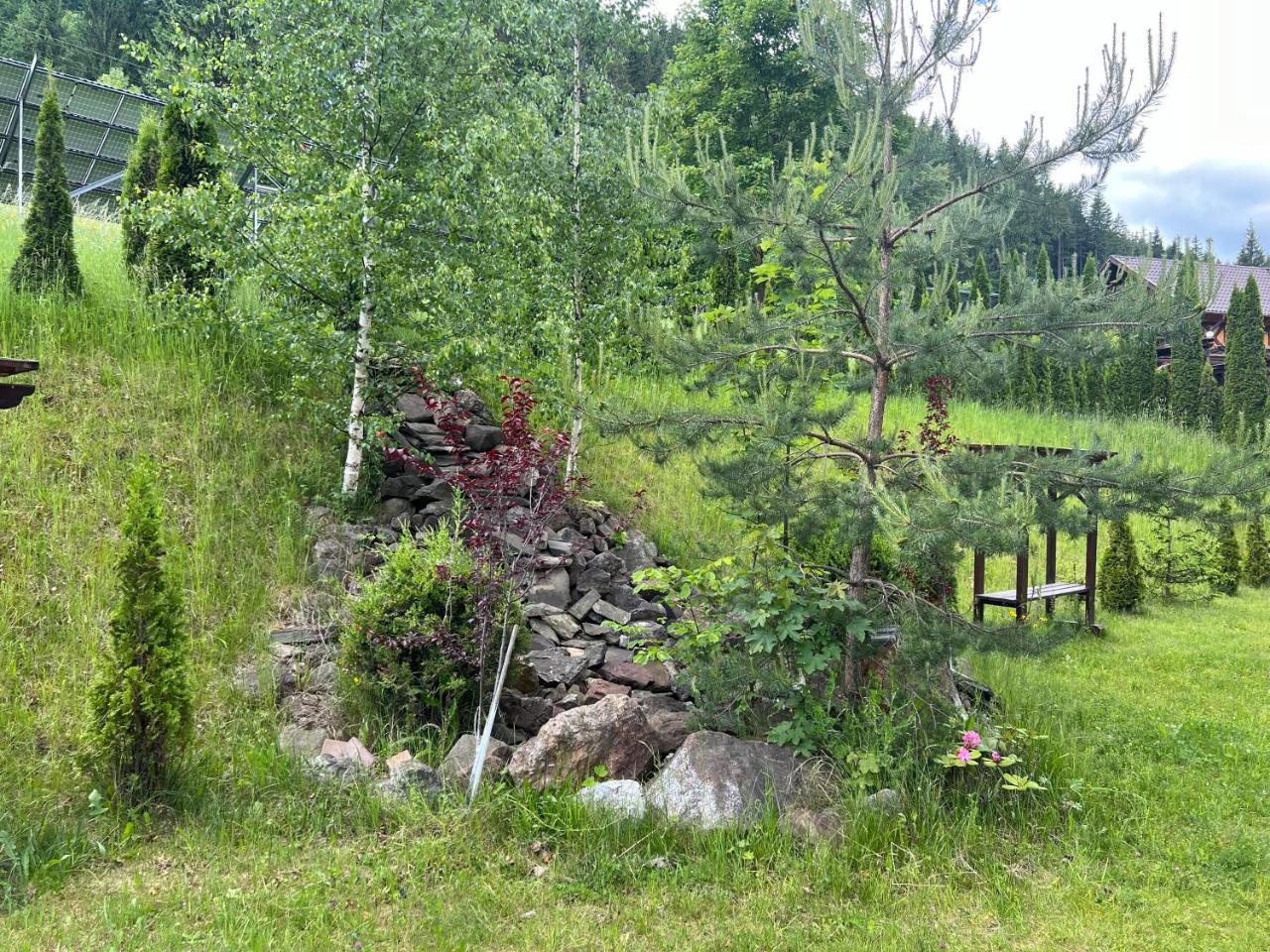 Pensiunea Vranis - 3