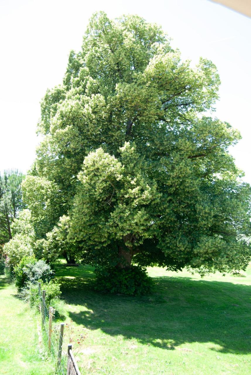 Le Perchoir - 4