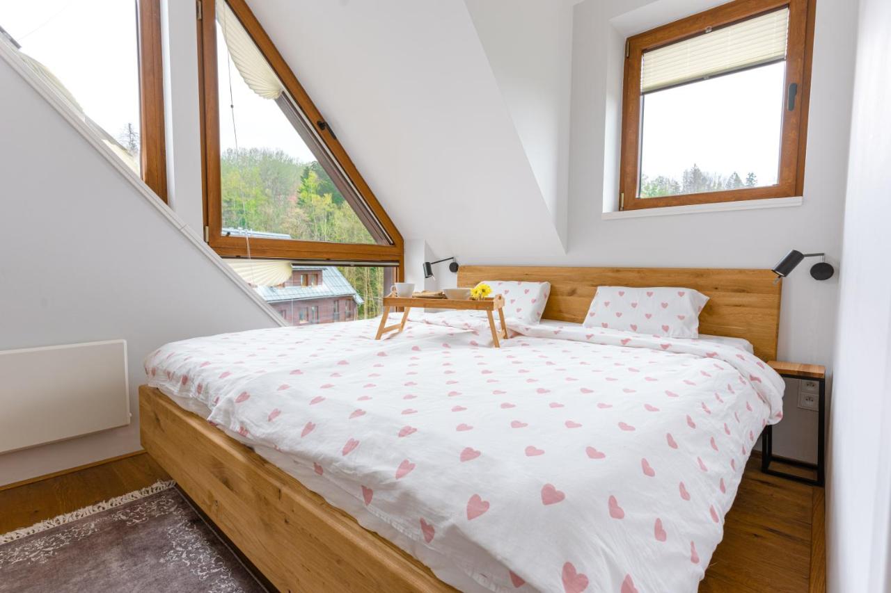 Stylový apartmán v Krkonšském národní parku - 2
