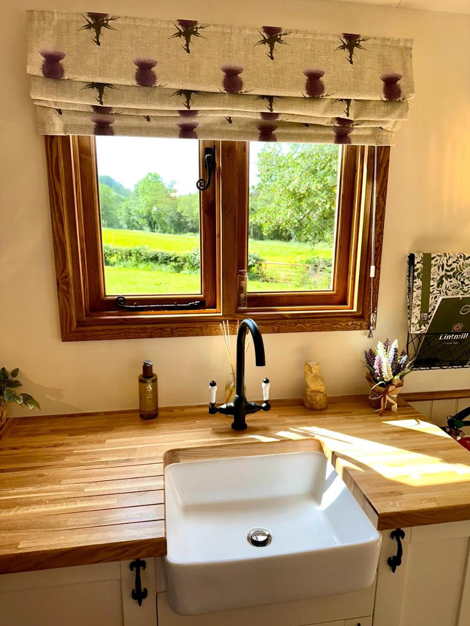Lintmill Lodges - Thistle Shepherds Hut - 5