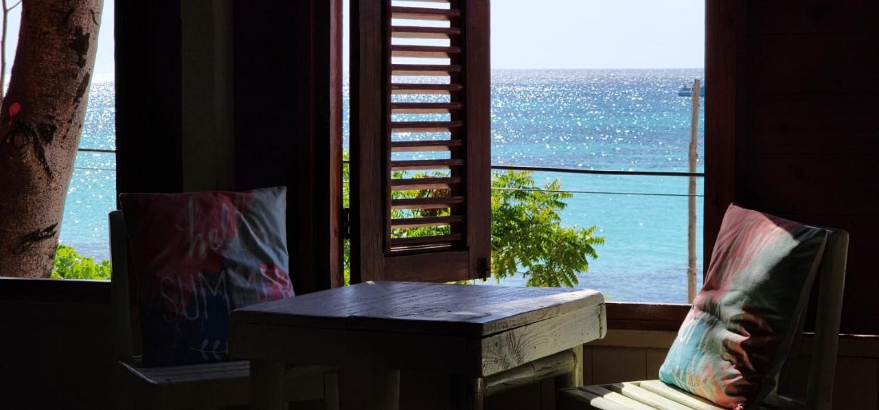 Tropic ecolodge photo 3