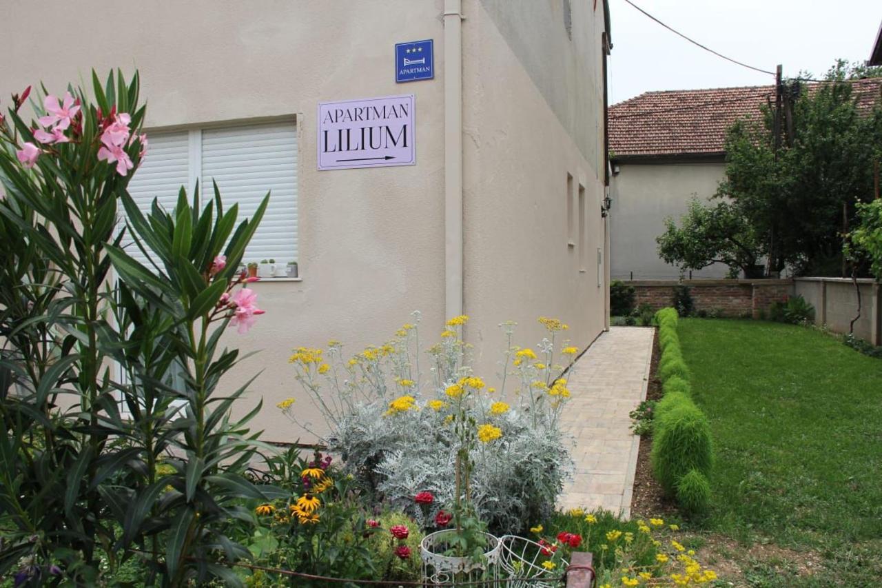 Apartman Lilium - 3