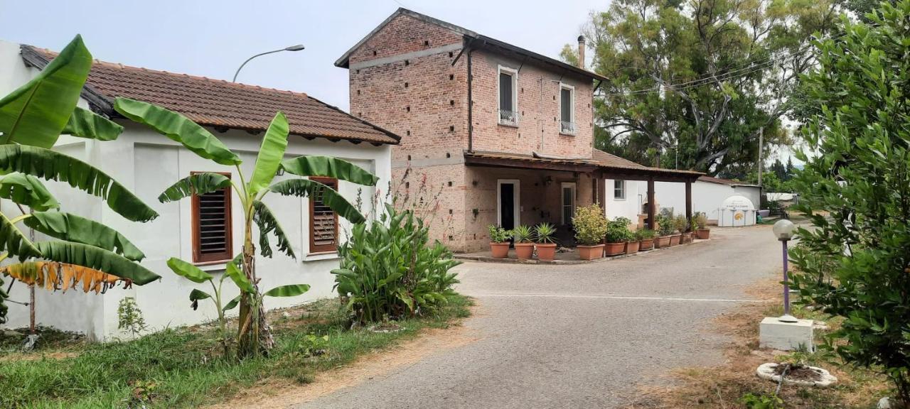 Azienda Agricola Neocastrum - 2
