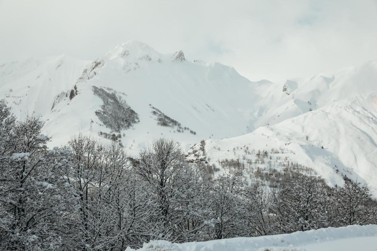 Joubarbe Rose by Lodji photo 3
