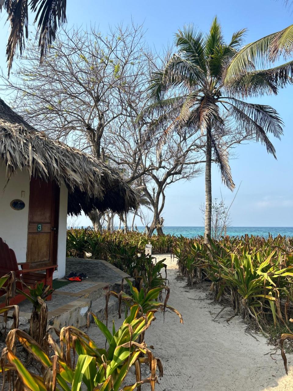 Photo - Hotel Isla Del Pirata