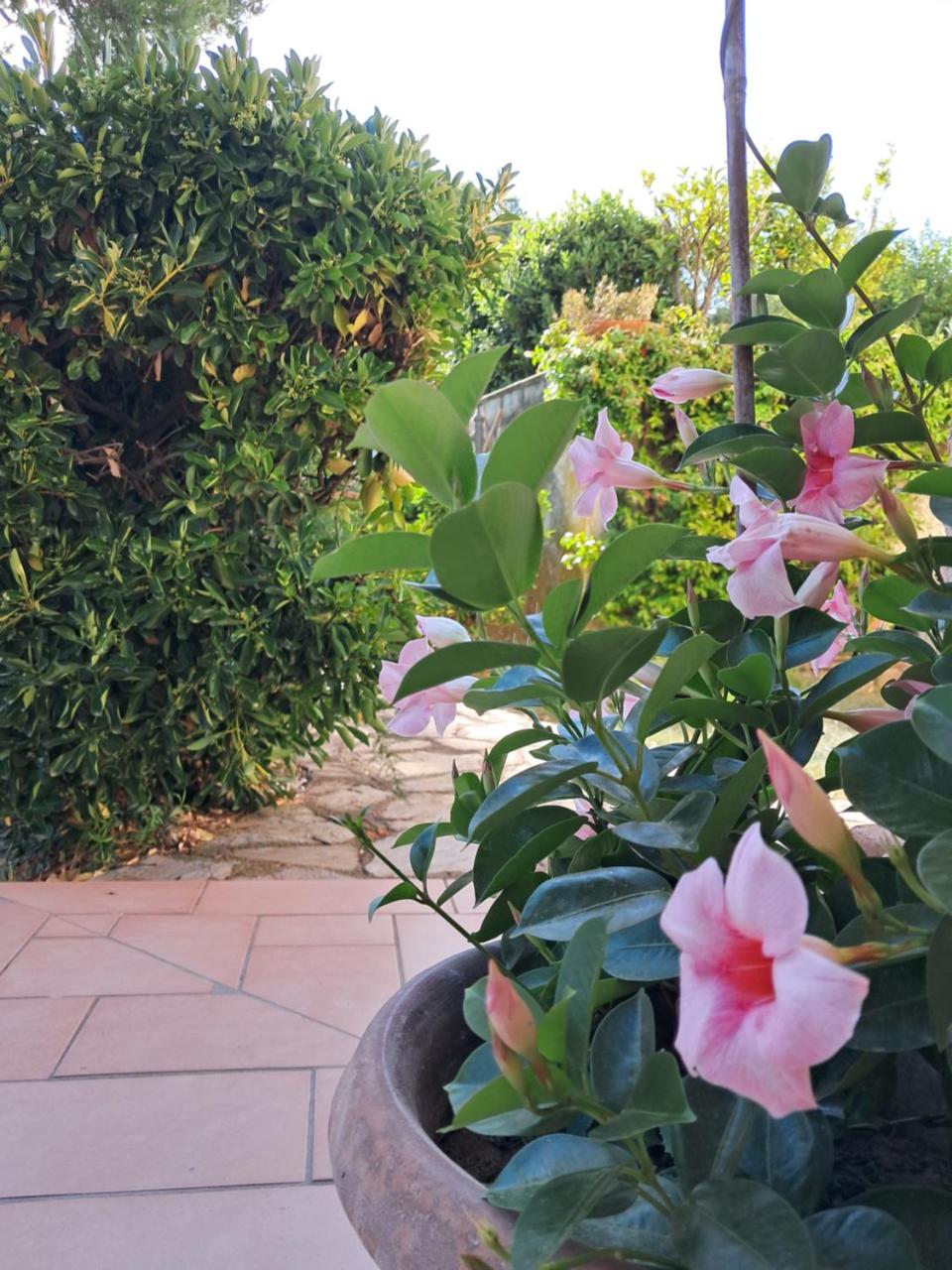 Biancolilla House - 6