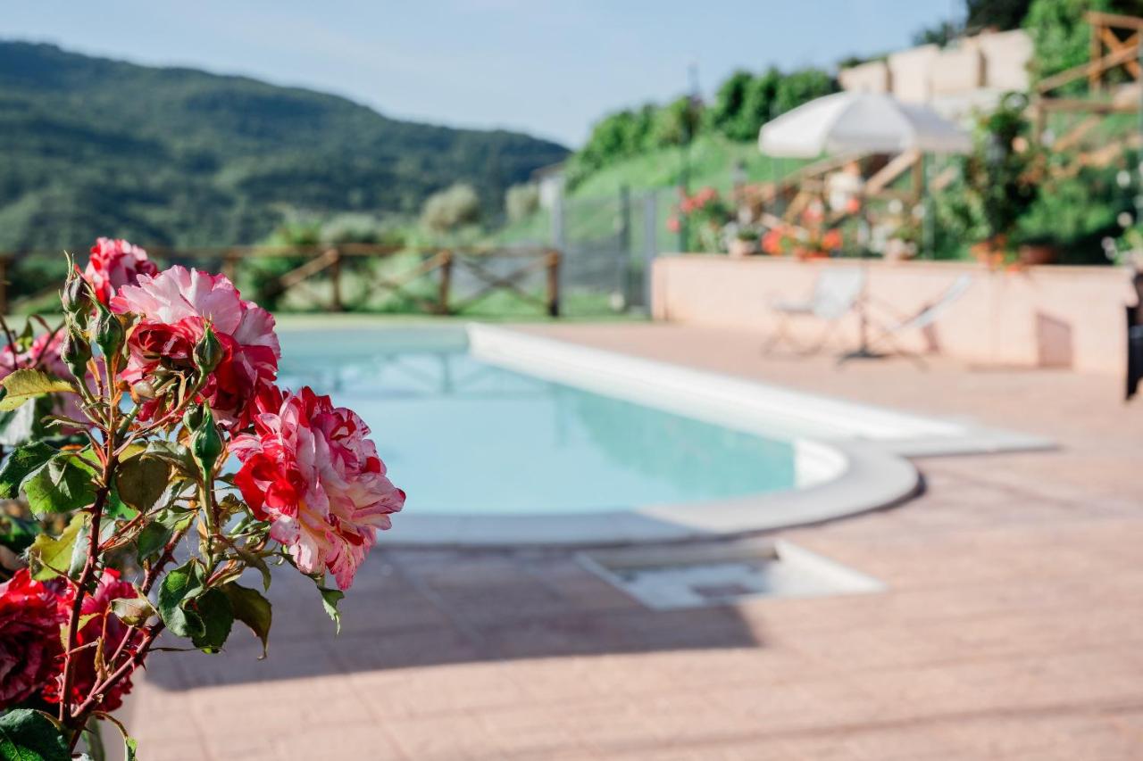 La casa di Sofia - 3