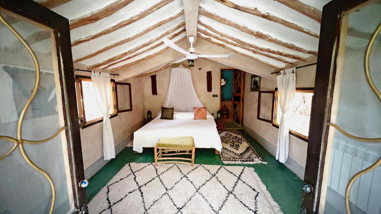 Lodge Hara Oasis photo 3