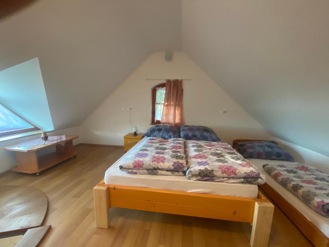 Apartma Medvedjek - 6