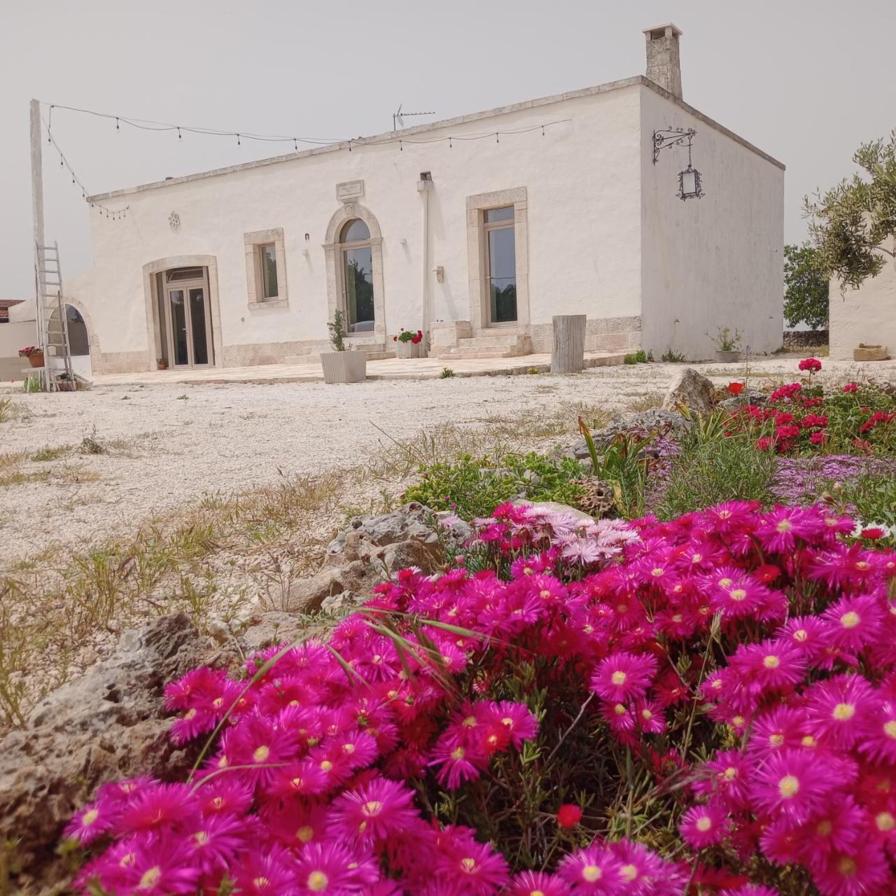 Masseria Villa Nuova 1924