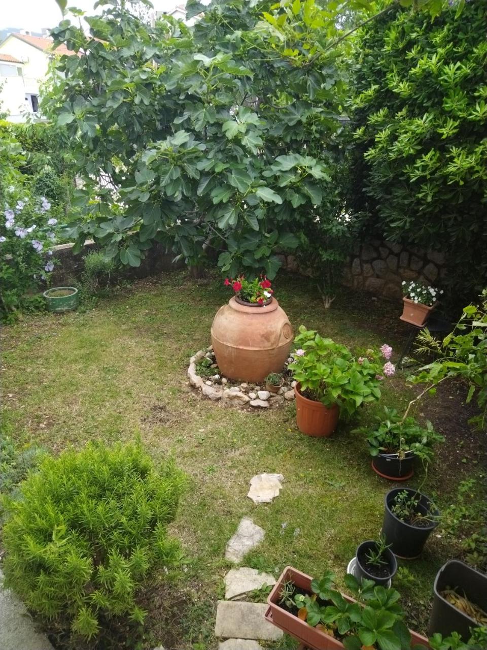 Apartman Seka - 5
