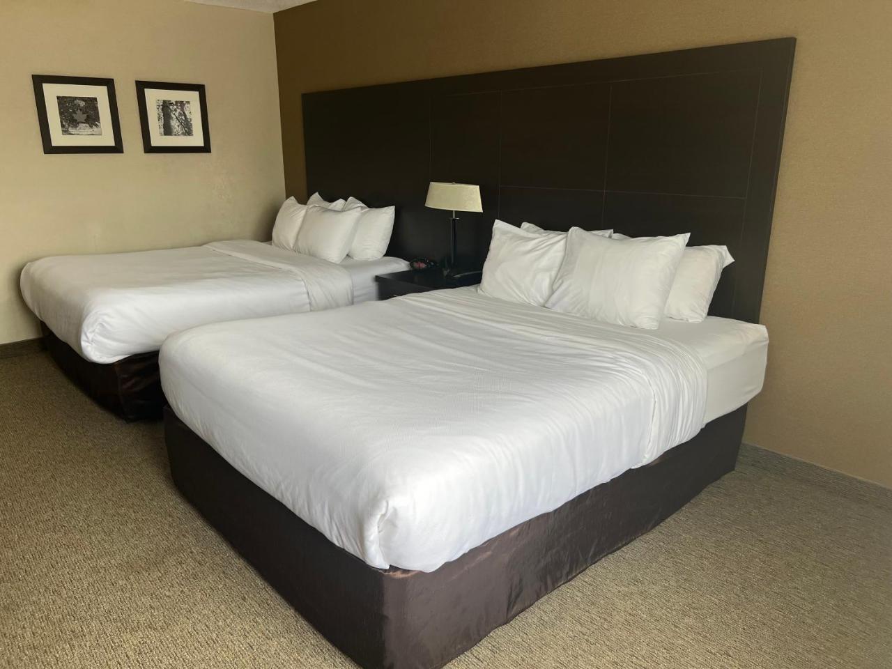 Comfort Inn photo 4
