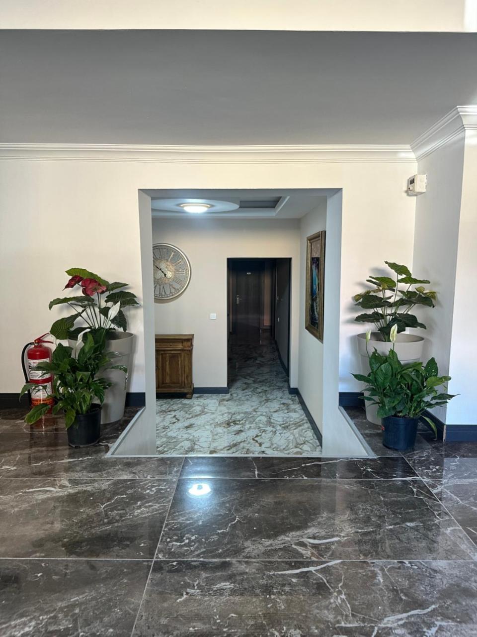 Davidson Boutique Hotel photo 2