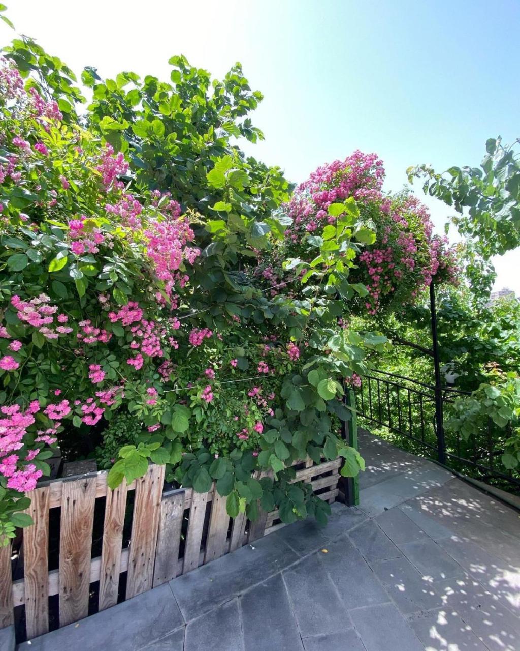 Olympia Garden Hotel photo 4
