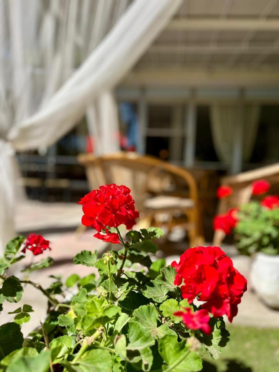 Hotel San Pietro photo 2