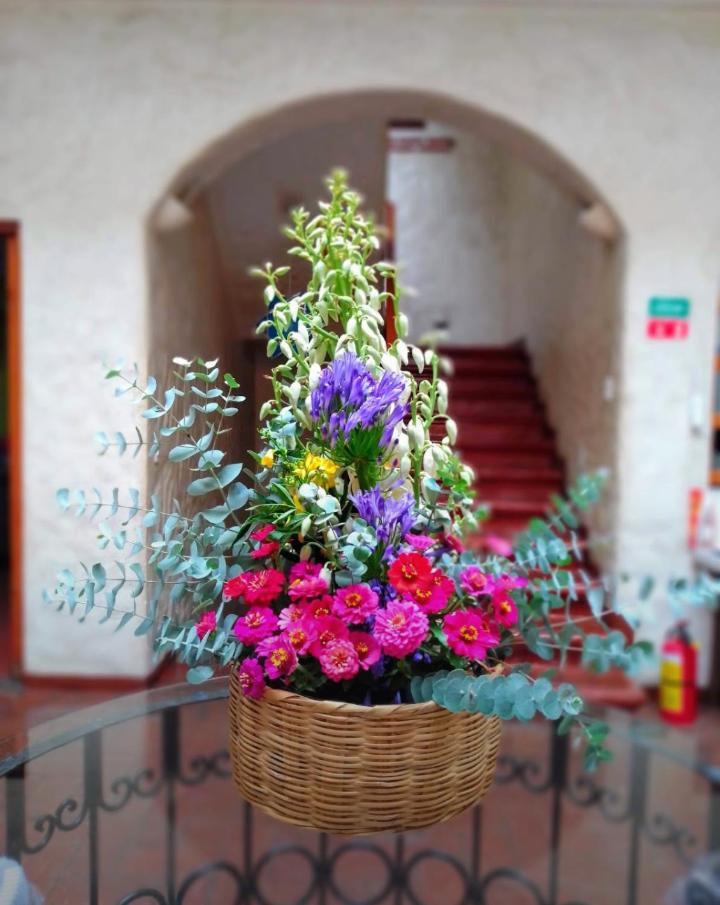 Hotel Boutique Casa Catrina photo 4