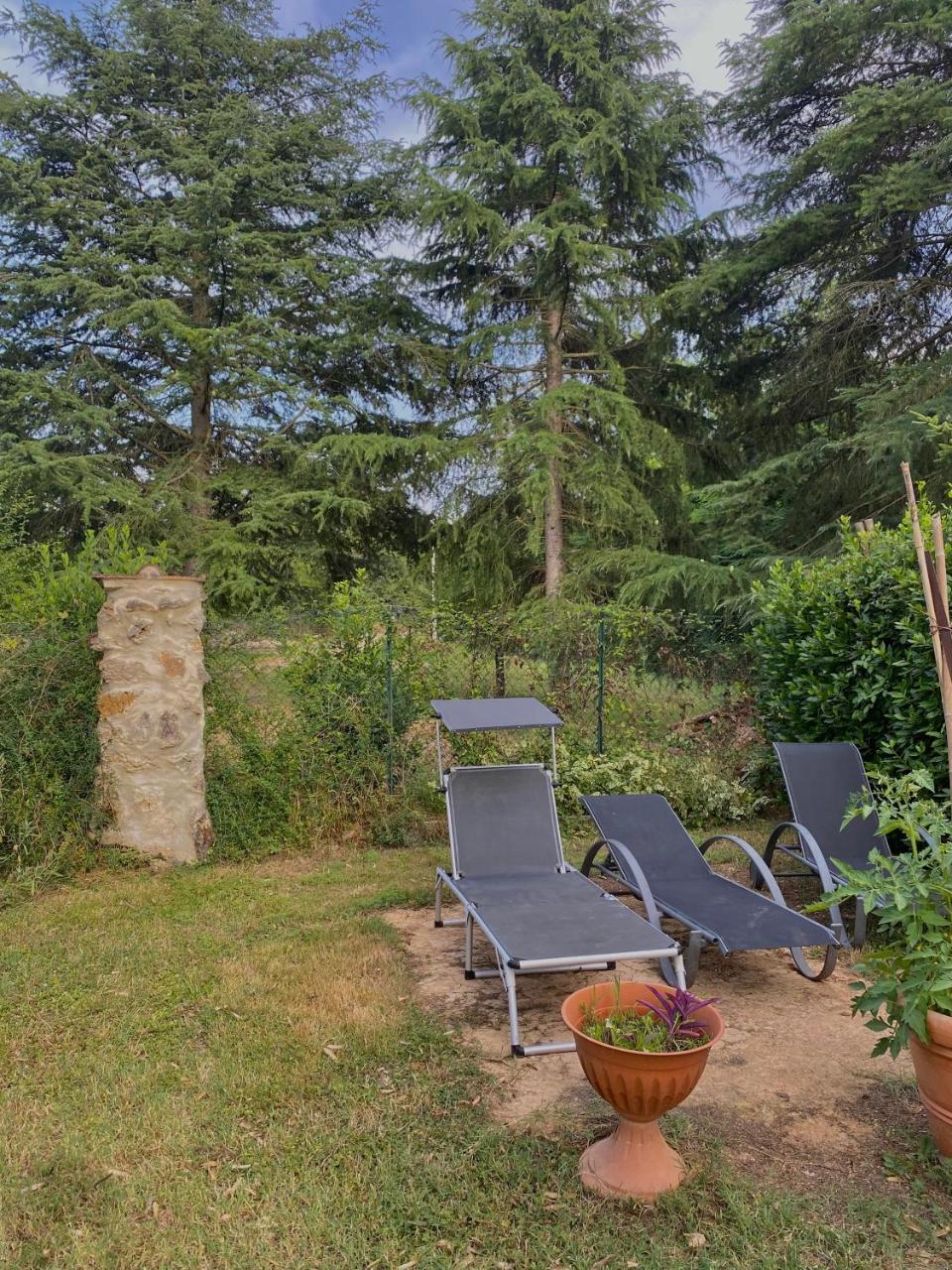 La casa gialla - 2