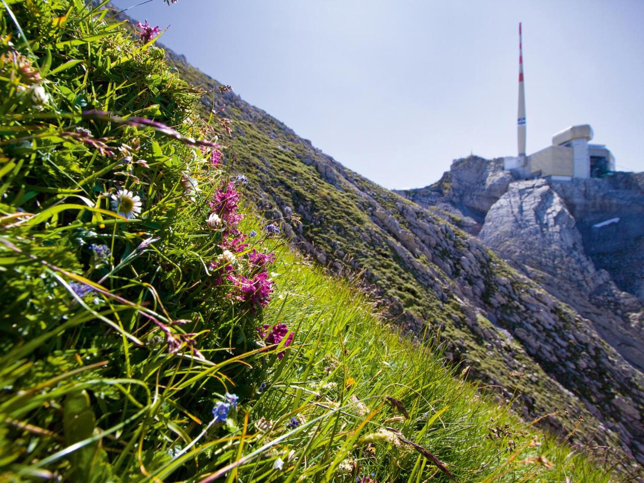 Säntis - das Hotel photo 4