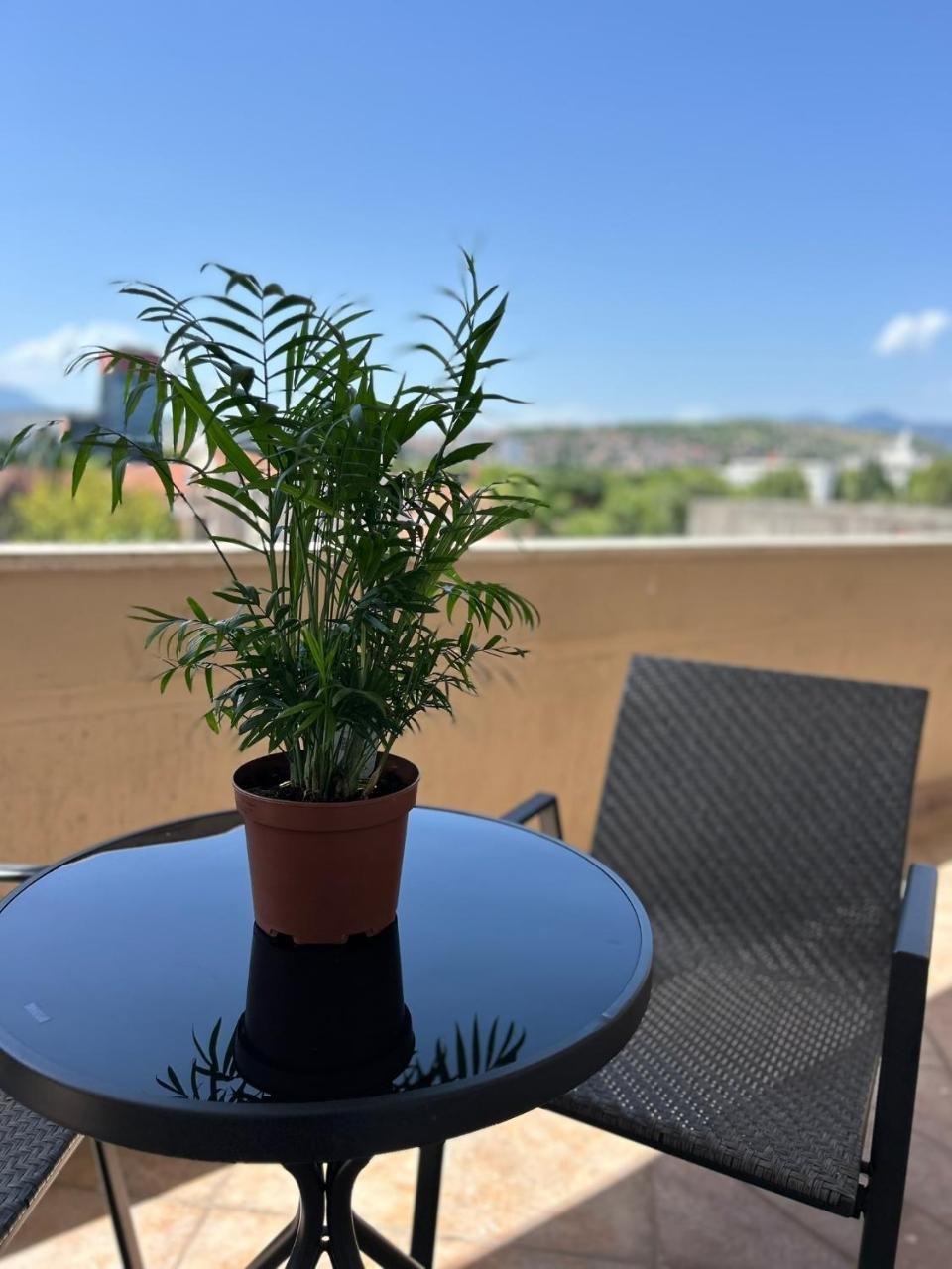 Hotel Bojatours photo 4