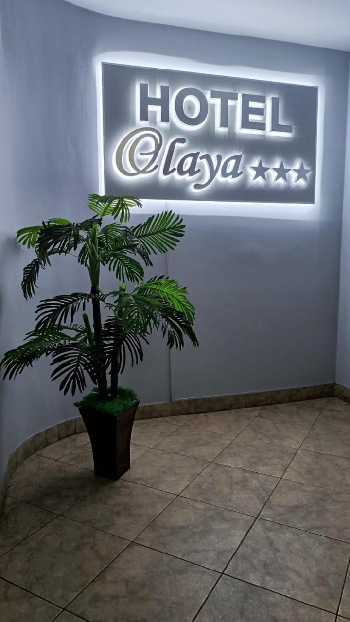 Hotel Olaya photo 3