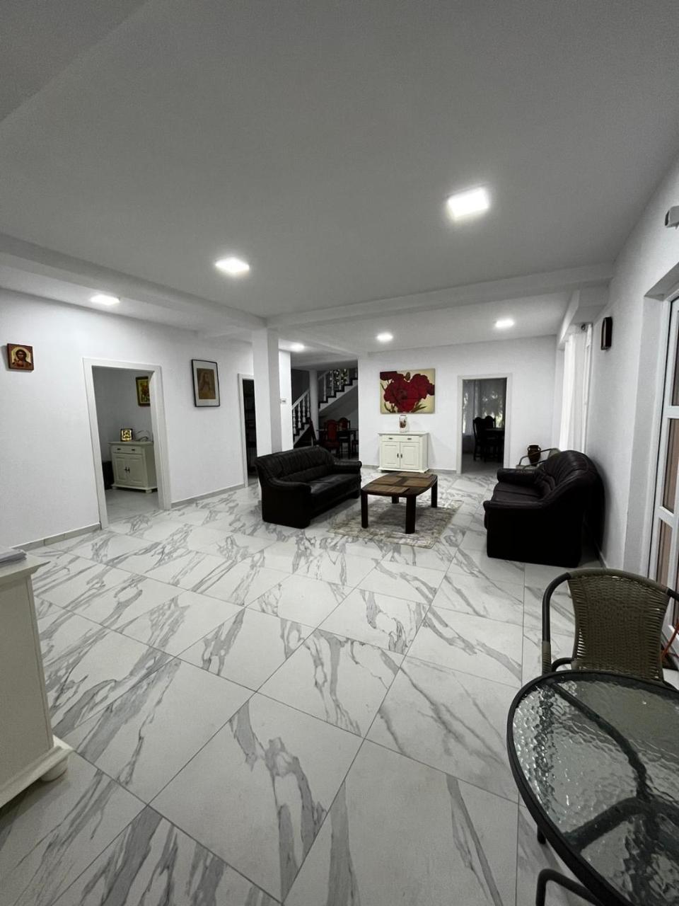 Vacation villa Sucevita photo 3