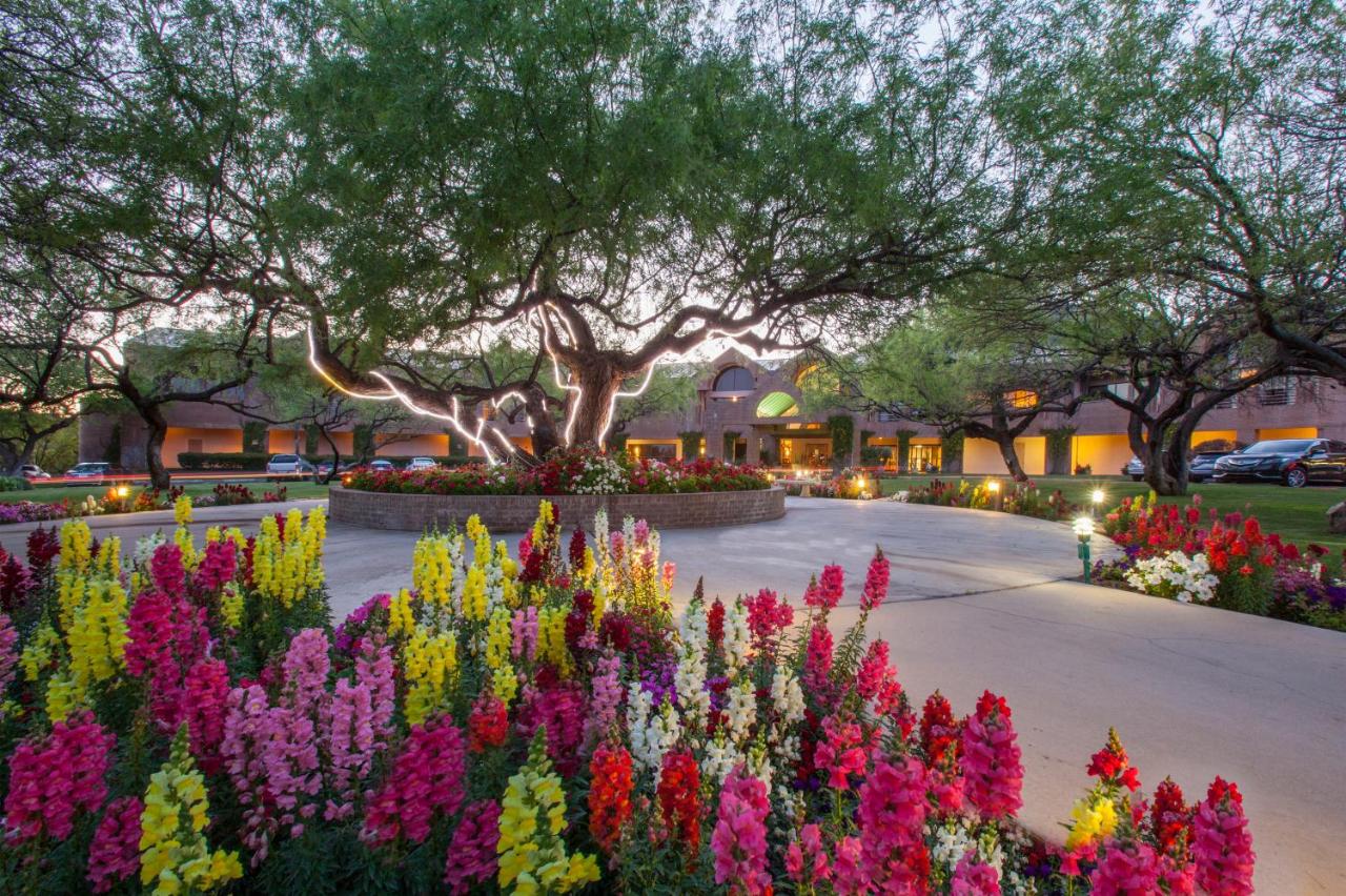 Ventana Canyon Club and Lodge photo 2