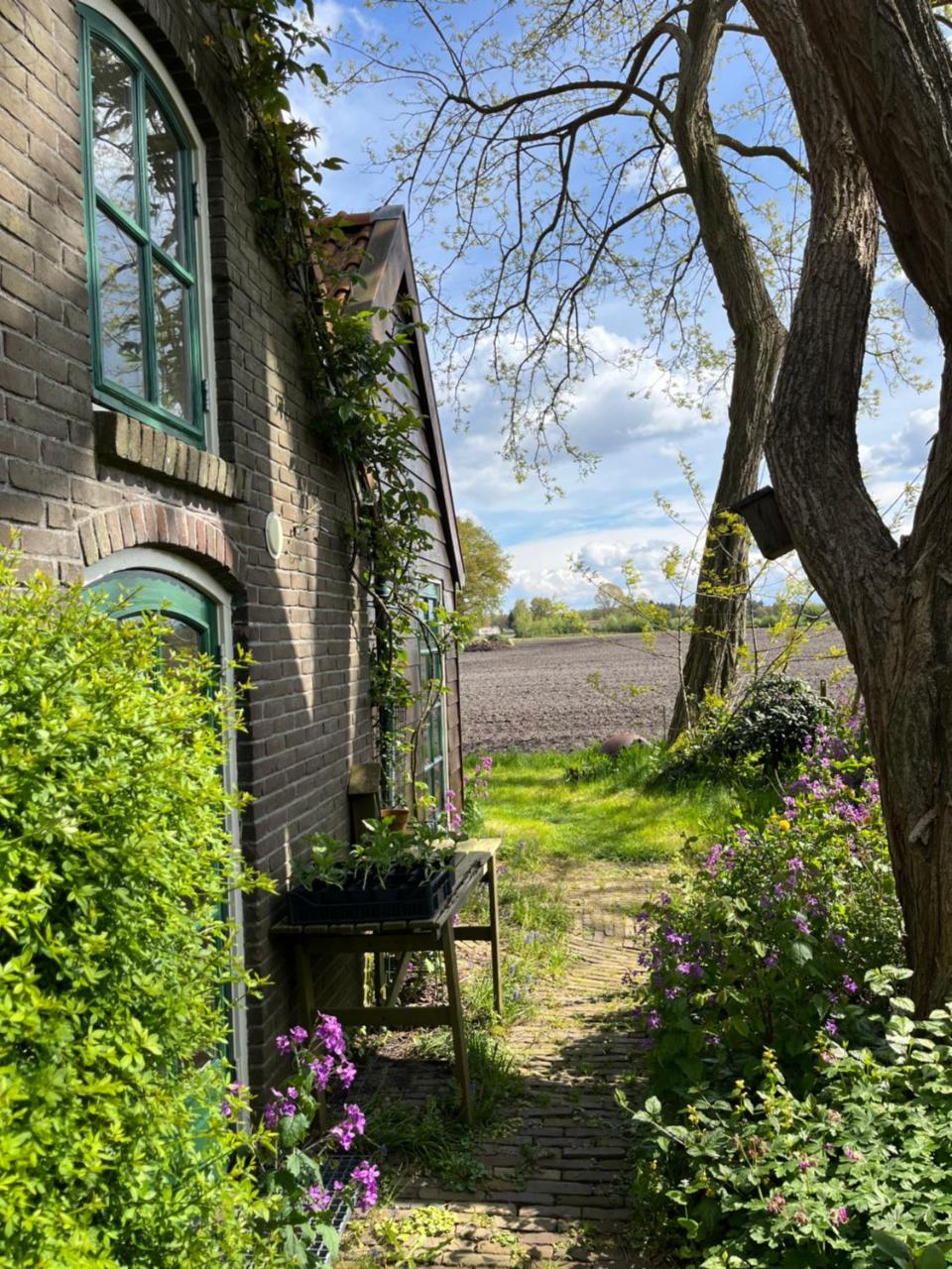 Doevelsteeg Ommen - 4