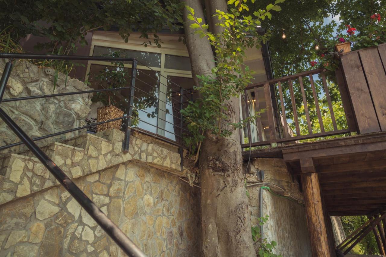 Hotel Tazz - River Front Oasis Collection