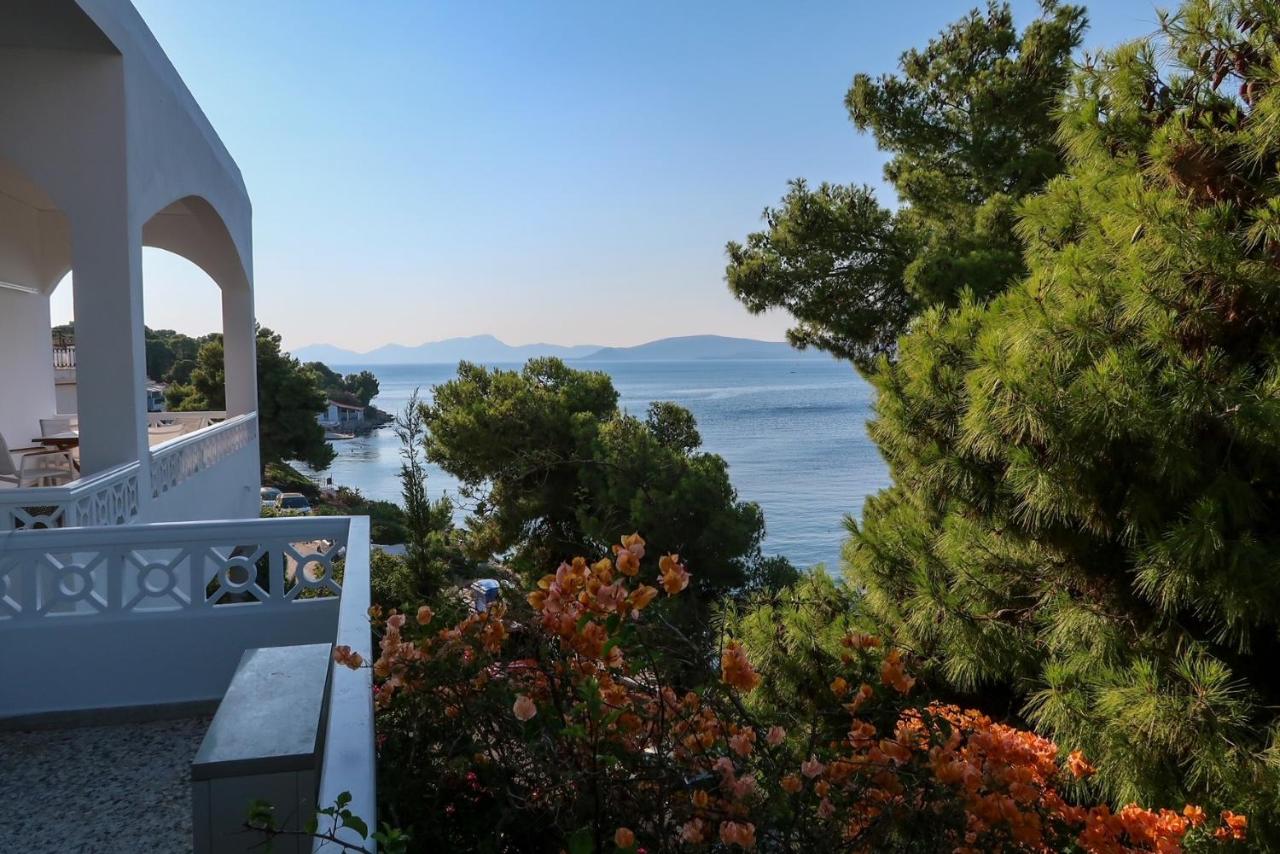 Grand Bleu Apartments & Villas - 5