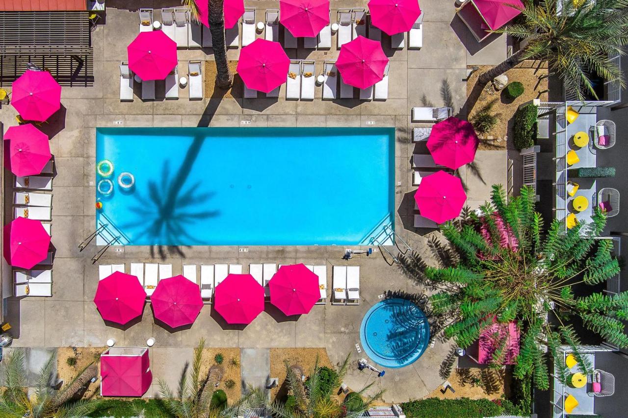 The Paloma Resort - 4
