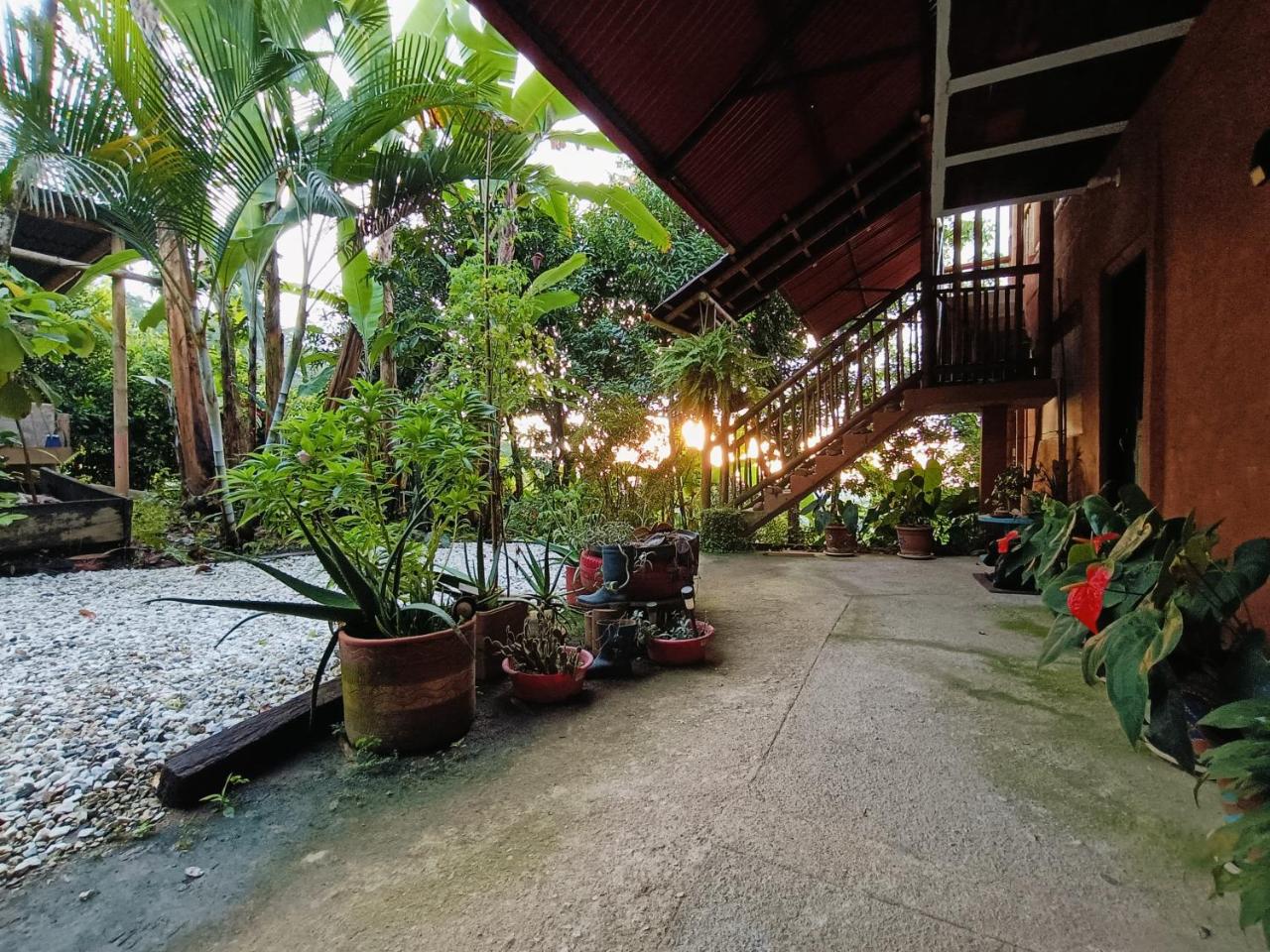 El Eden Minca photo 4