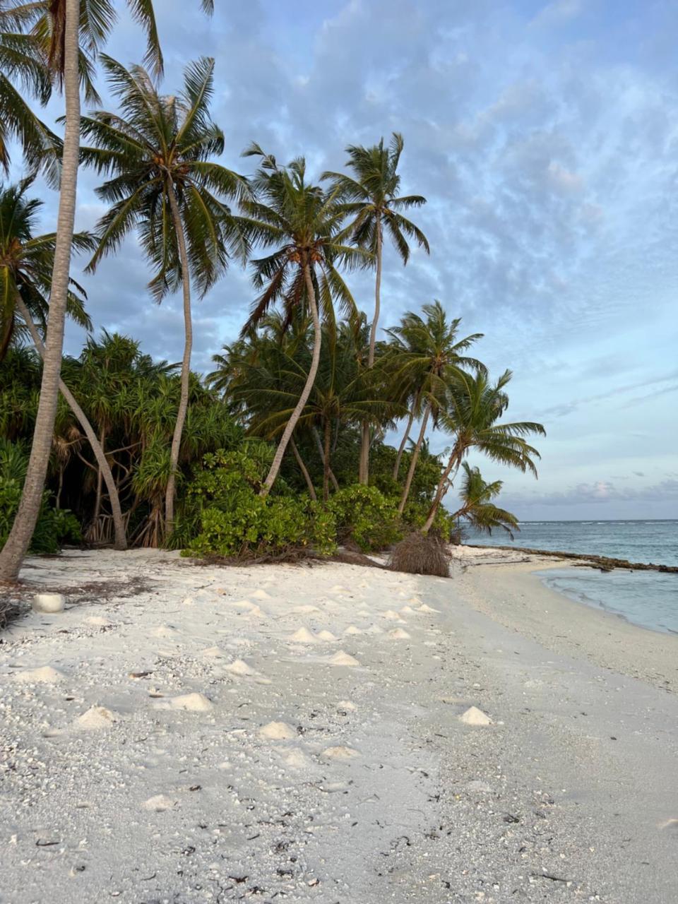 Dive and Sleep - All Inclusive Diving Guesthouse - 3 Dives per day photo 2