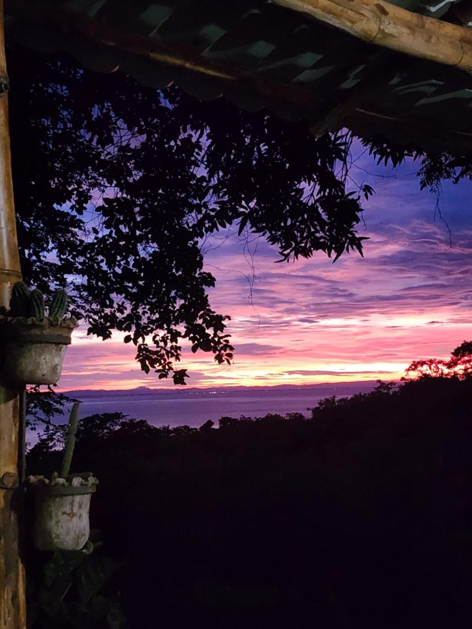 The Jungle Lodge photo 3