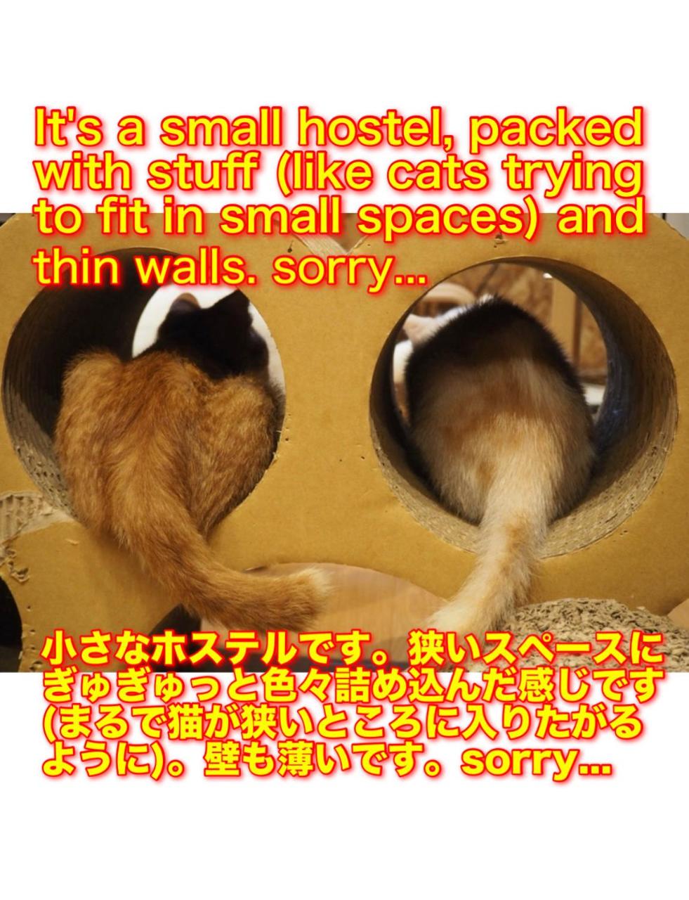 Foto - Nekokura Hostel