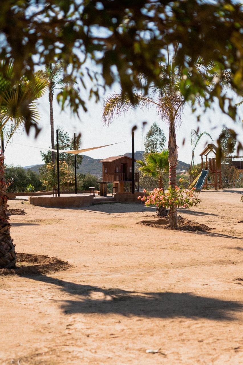 Villa Victoria, Valle de Guadalupe photo 2