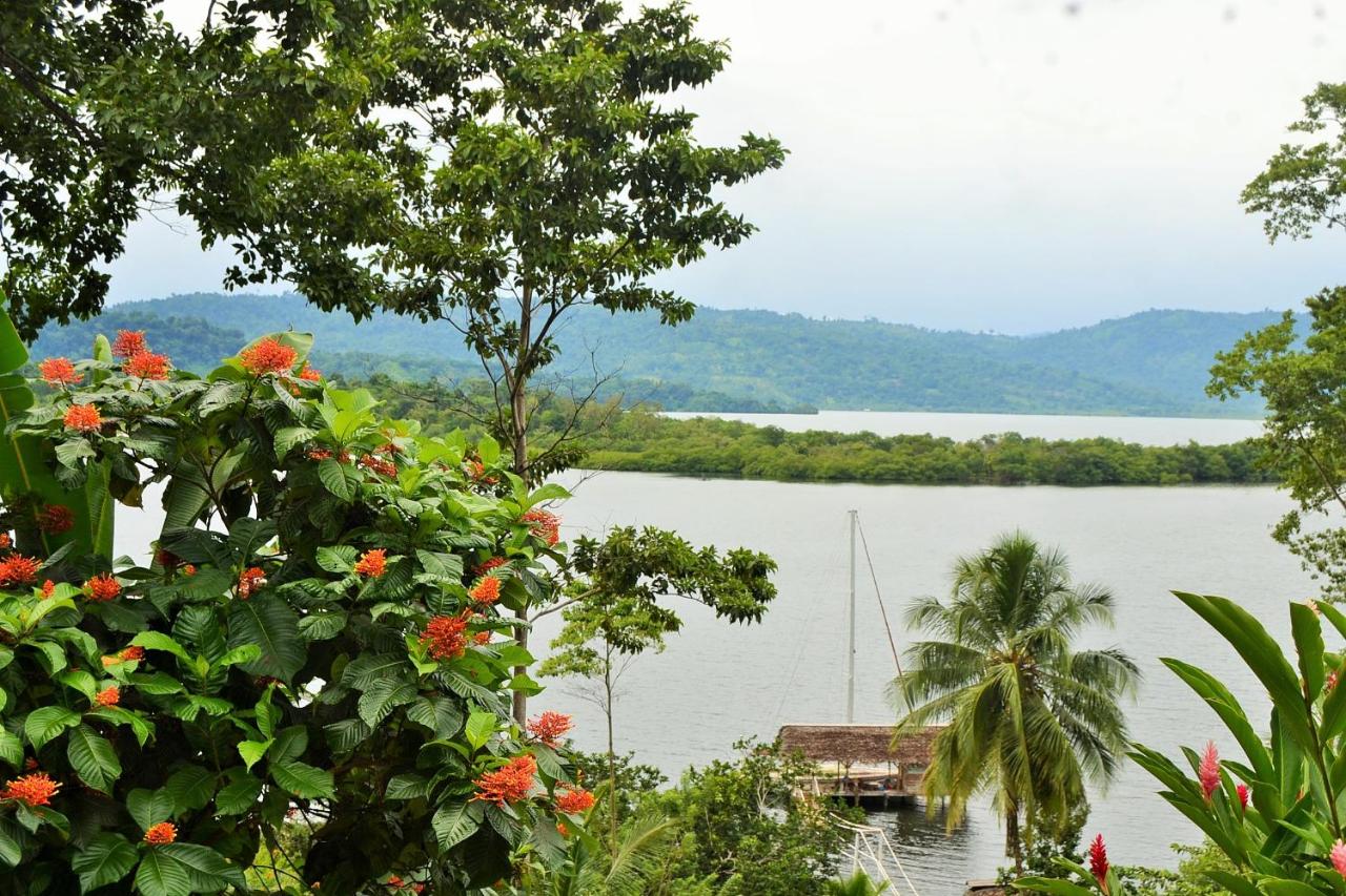 Nathylodge photo 3