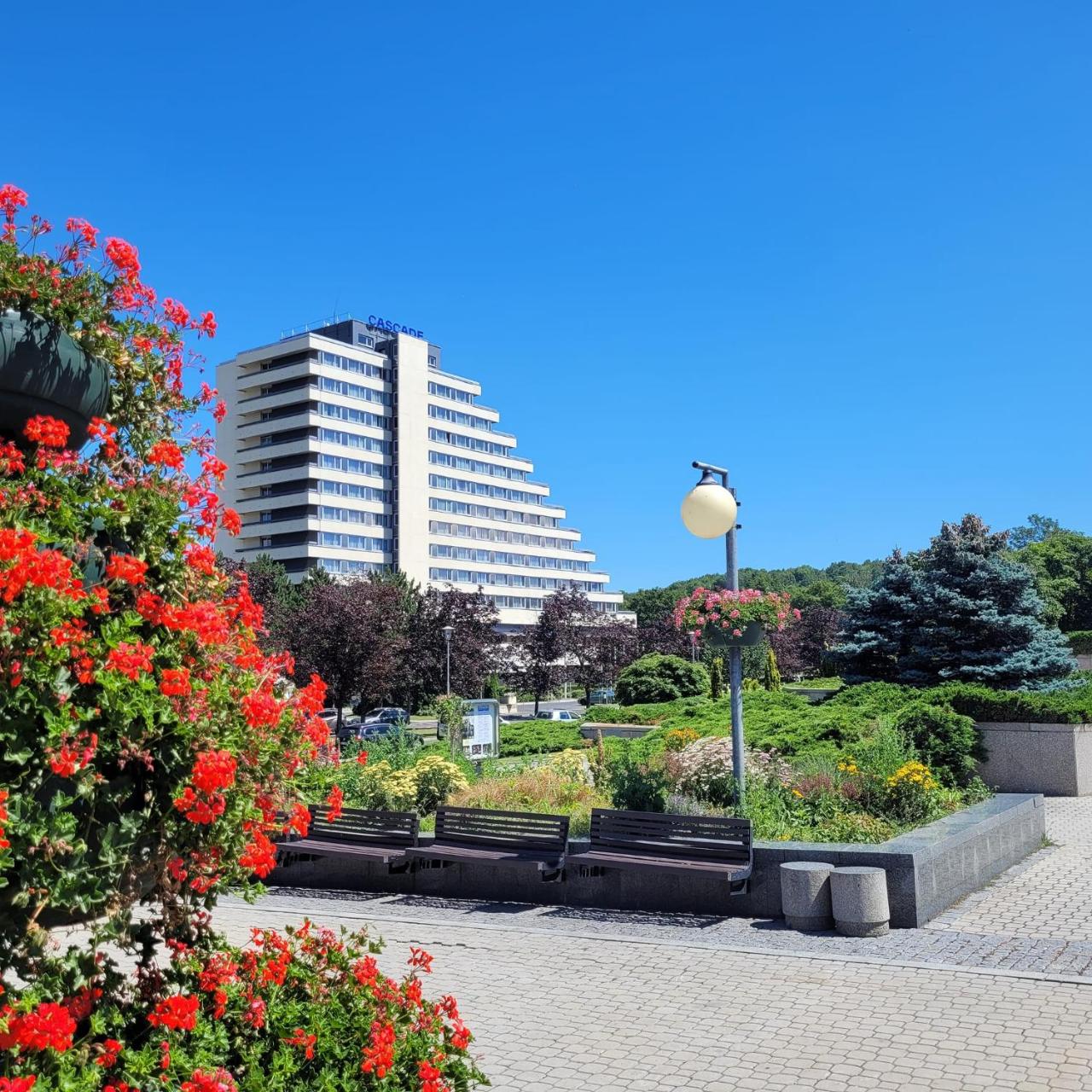 Foto - Hotel Cascade